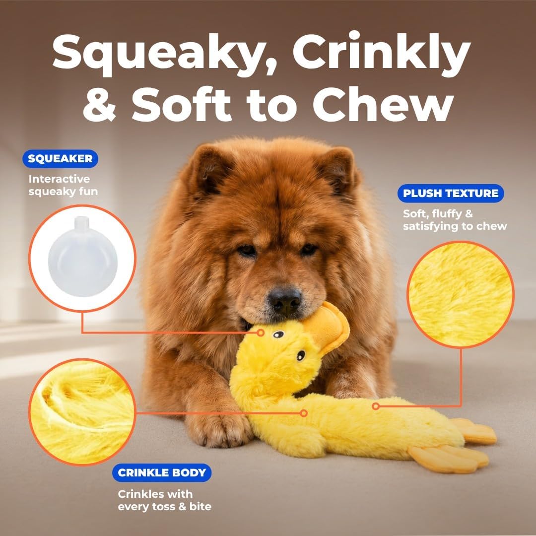 Furnexa Squeaky Crinkle Duck Dog Toy, Stuffing Free Plush Toy for Small, Medium and Large Dogs, Interactive Chew and Fetch Toy