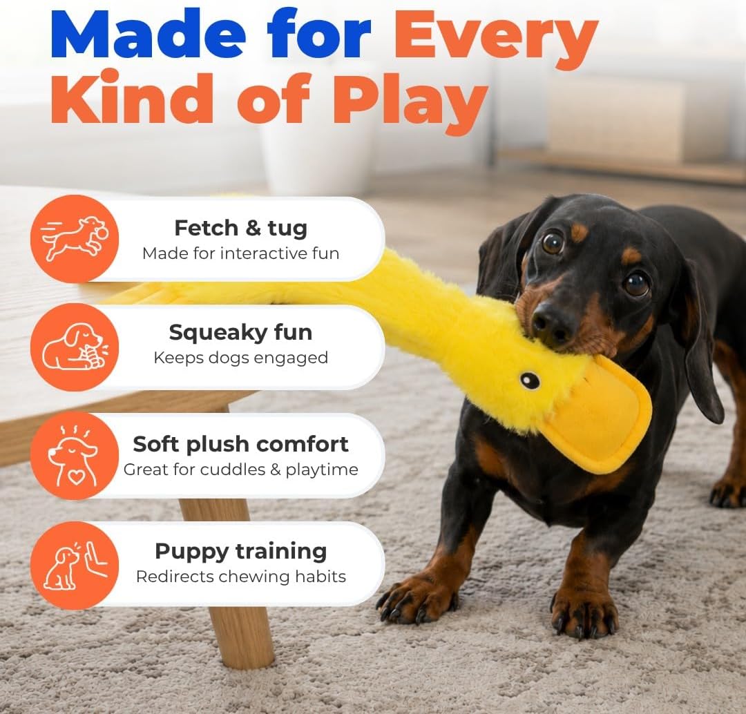 Furnexa Squeaky Crinkle Duck Dog Toy, Stuffing Free Plush Toy for Small, Medium and Large Dogs, Interactive Chew and Fetch Toy