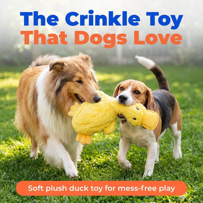 Furnexa Squeaky Crinkle Duck Dog Toy, Stuffing Free Plush Toy for Small, Medium and Large Dogs, Interactive Chew and Fetch Toy